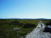 322-25.07. auf der Flatruet